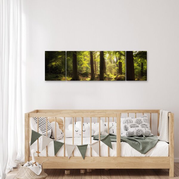 Obraz snového lesa (170x50 cm)