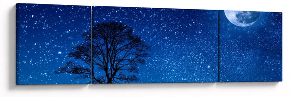 Obraz vlka vyjícího na měsíc (170x50 cm)