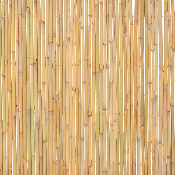 Bambusový plot 300 x 100 cm 142683