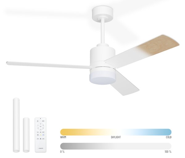 Noaton 14132WWL Canis, bílá a světle hnědá, stropní ventilátor se světlem