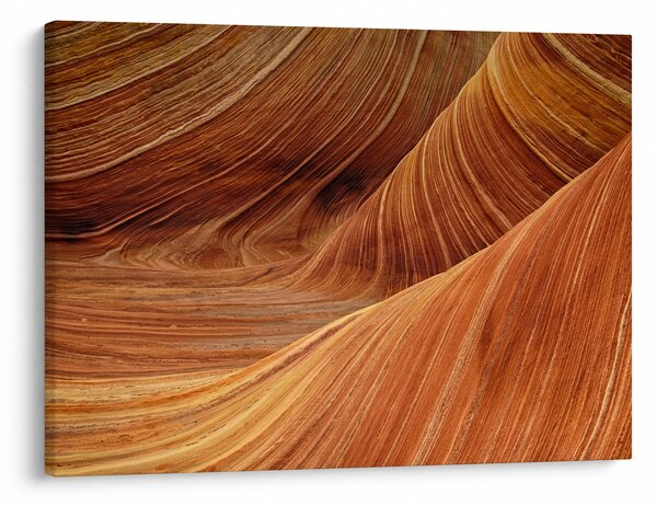 Obraz - Červený písek (70x50 cm)