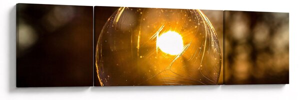 Obraz - Průhledná bublina (170x50 cm)