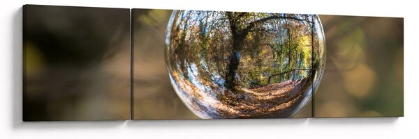 Obraz - Odraz ve skleněné kouli (170x50 cm)