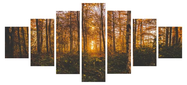 Obraz podzimního lesa (210x100 cm)
