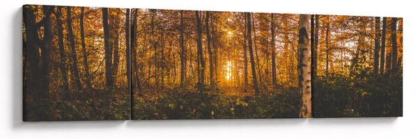 Obraz podzimního lesa (170x50 cm)
