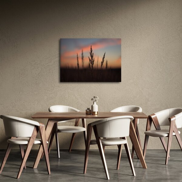 Obraz - Silueta rostliny (70x50 cm)