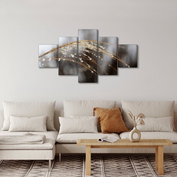 Obraz kapek na rostlině (125x70 cm)
