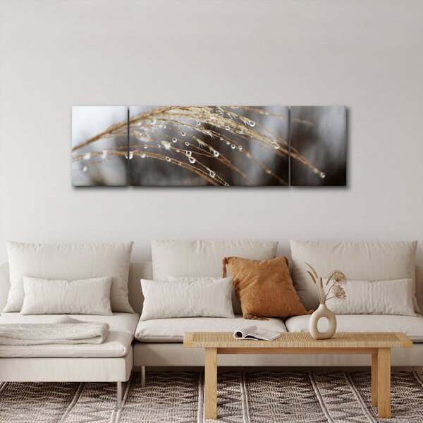 Obraz kapek na rostlině (170x50 cm)