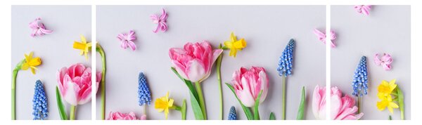 Obraz jarních květin (170x50 cm)