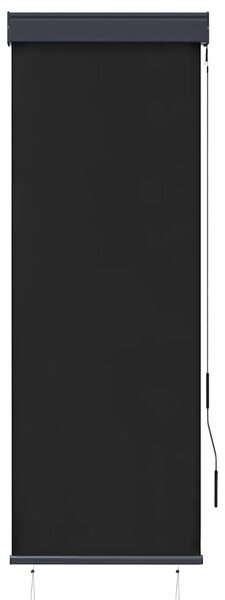 Venkovní roleta 60 x 250 cm antracitová 145946