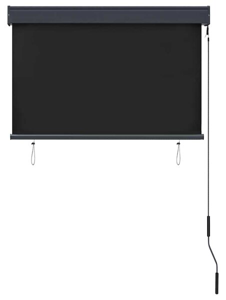 Venkovní roleta 100 x 250 cm antracitová 145958
