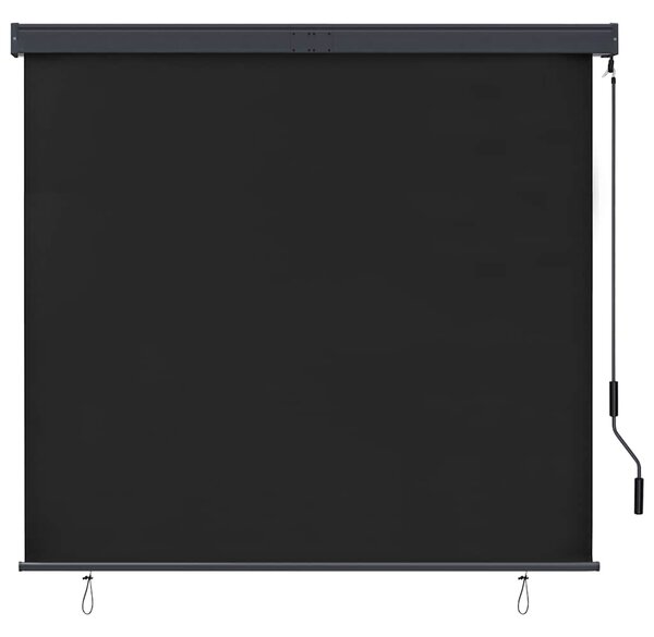 Venkovní roleta 160 x 250 cm antracitová 145976