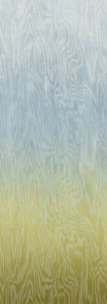 Vliesová fototapeta na zeď, Moiré, DG4MOI1072-260, Wall Designs IV, Khroma by Masureel