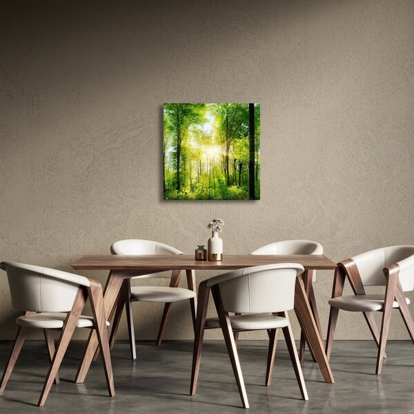 Obraz - Svítání v lese (30x30 cm)