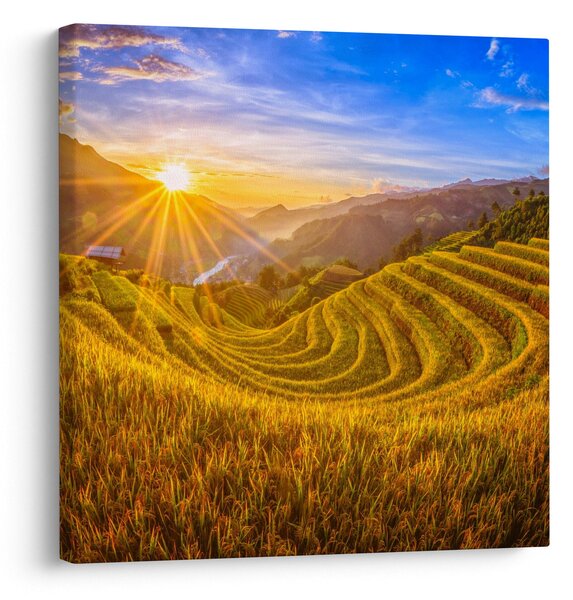 Obraz - Rýžové terasy ve Vietnamu (30x30 cm)