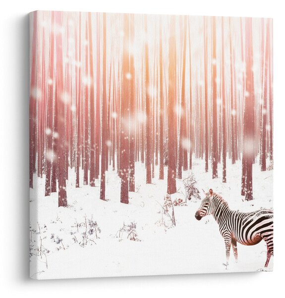 Obraz - Zebra v zasněženém lese (30x30 cm)