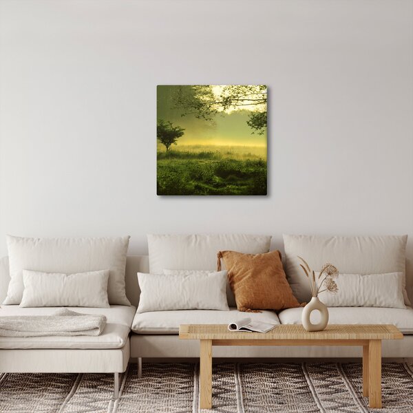 Obraz - Probouzející se les (30x30 cm)