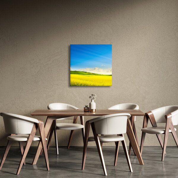 Obraz - Jarní nebe (30x30 cm)