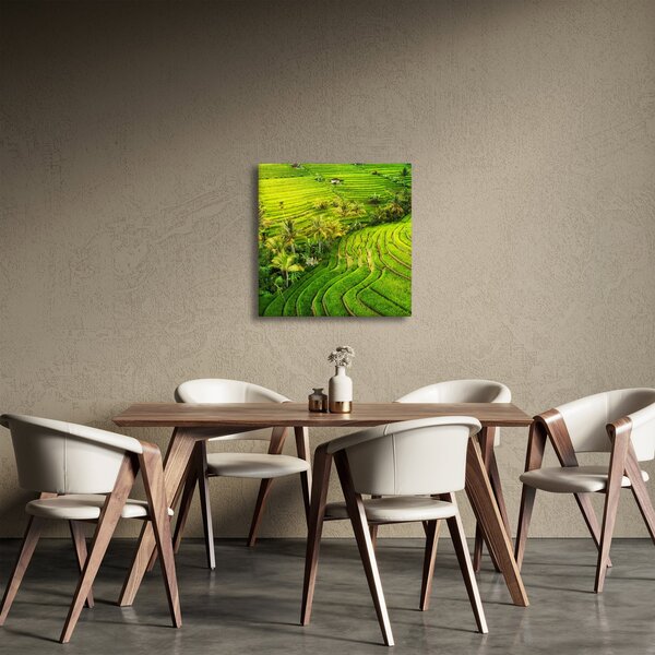 Obraz - Rýžové terasy (30x30 cm)