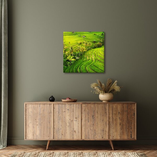 Obraz - Rýžové terasy (30x30 cm)