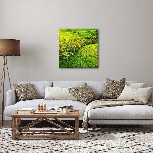 Obraz - Rýžové terasy (30x30 cm)