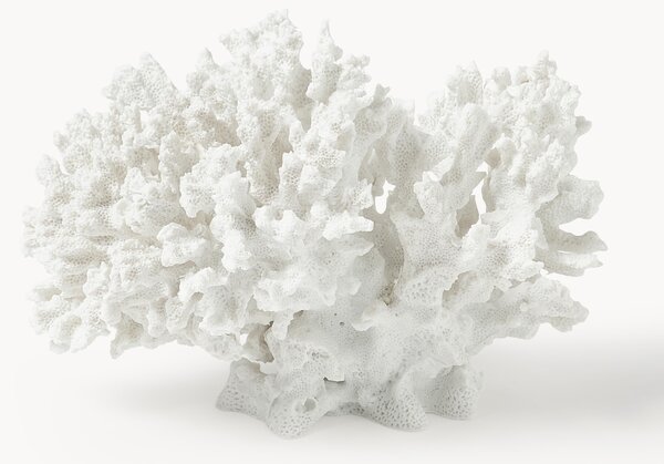 Designová dekorace Coral
