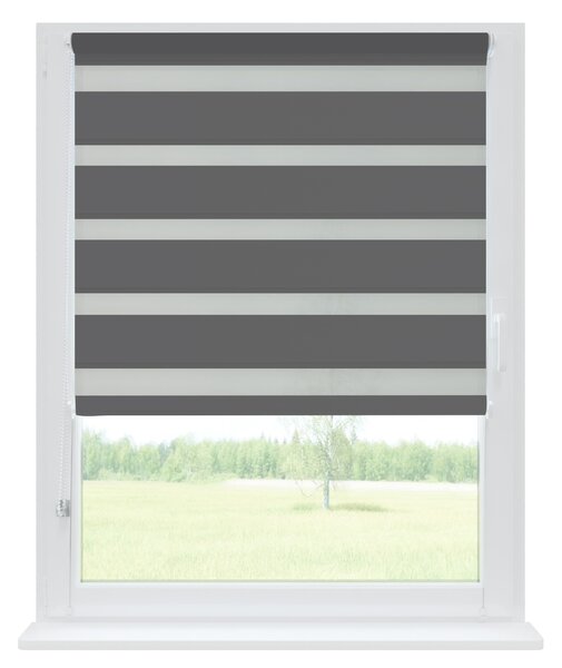 Dekodum Zatemňovací roleta den a noc Grafitová 40x150 cm