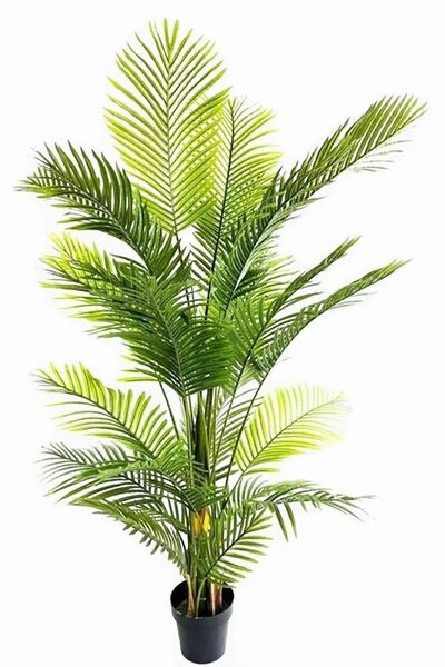 Umělá palma Cuba 180 cm – exotická dekorace - 151 - 180 cm