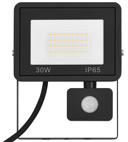 LED reflektor se senzorem 30 W studené bílé světlo 149630