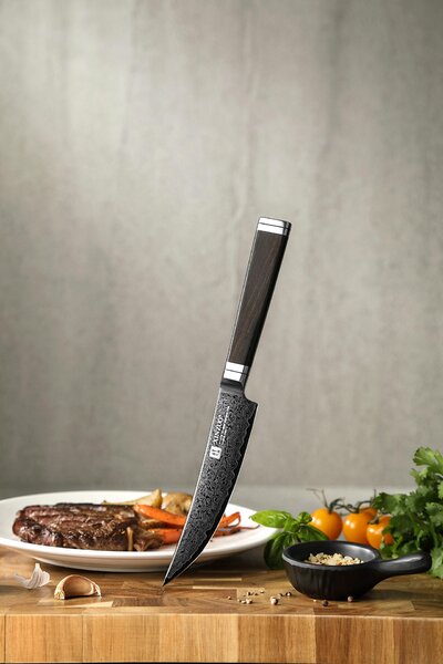 Steakový nůž XinZuo Ji X08E 5"