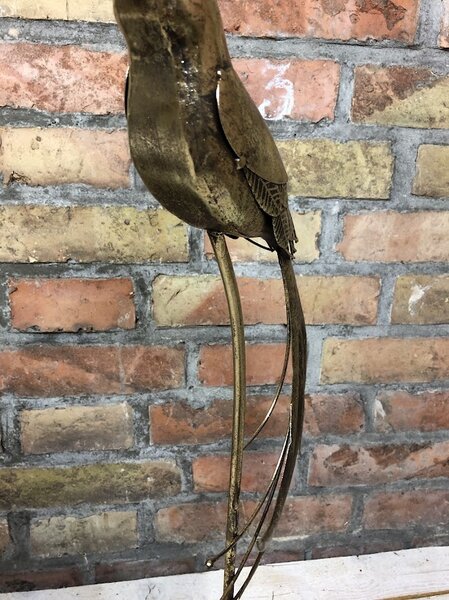 Dekorace exotického ptáka Rajka