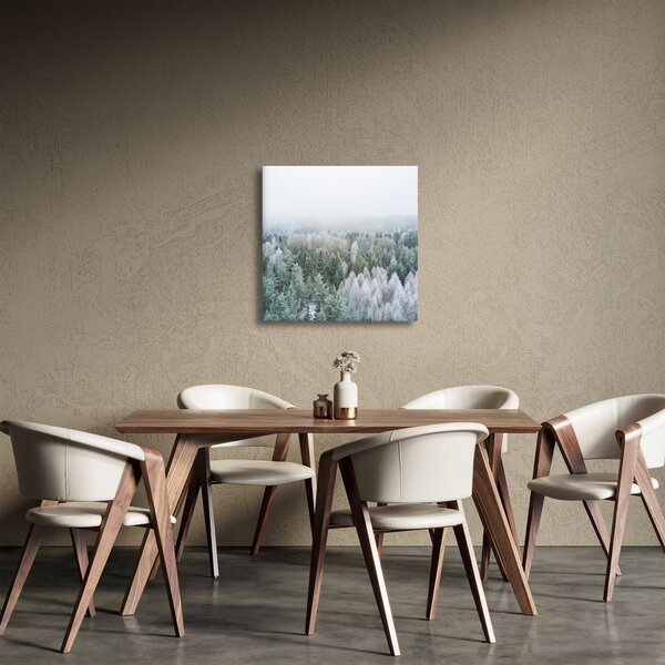Obraz - Zasněžené vrcholky lesů (30x30 cm)