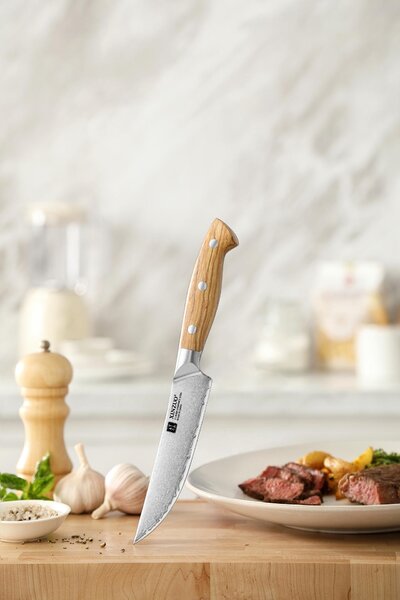 Steakový nůž XinZuo Pin X02O 5"