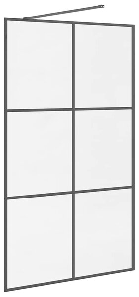 Zástěna do průchozí sprchy čiré ESG sklo 115 x 195 cm černá 151026