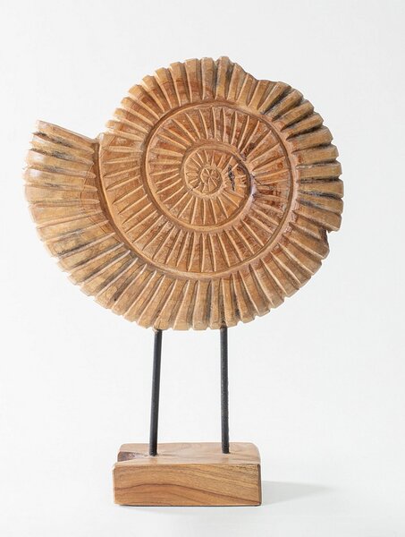 Dekorace Fossil 45 cm