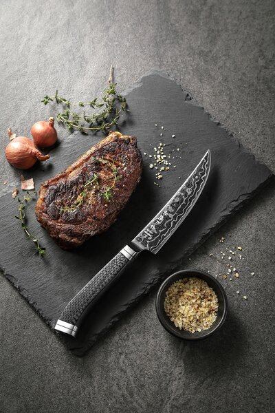 XinZuo Steakový nůž HezHen X10 5"