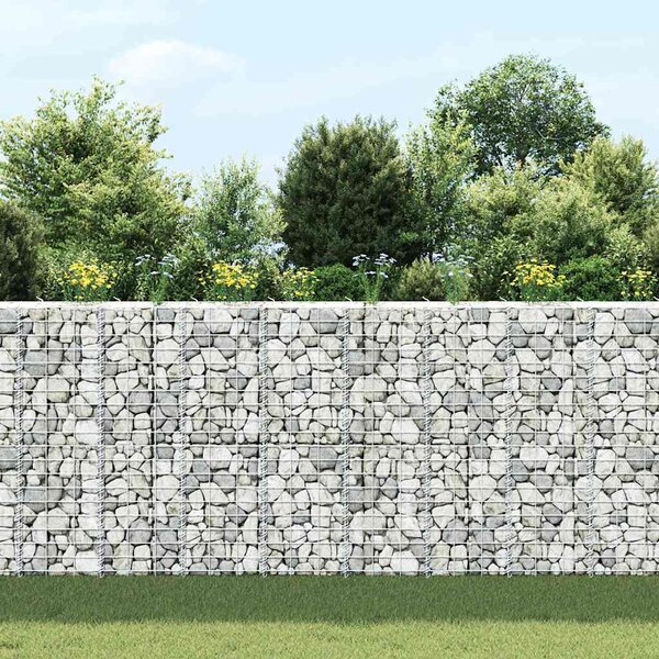 Gabionové vyvýšené záhony 3 ks 30 x 30 x 100 cm železo 151249