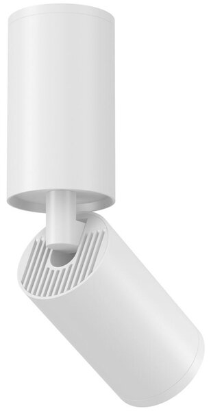 MAYTONI Stropní svítidlo FOCUS S C051CL-01W