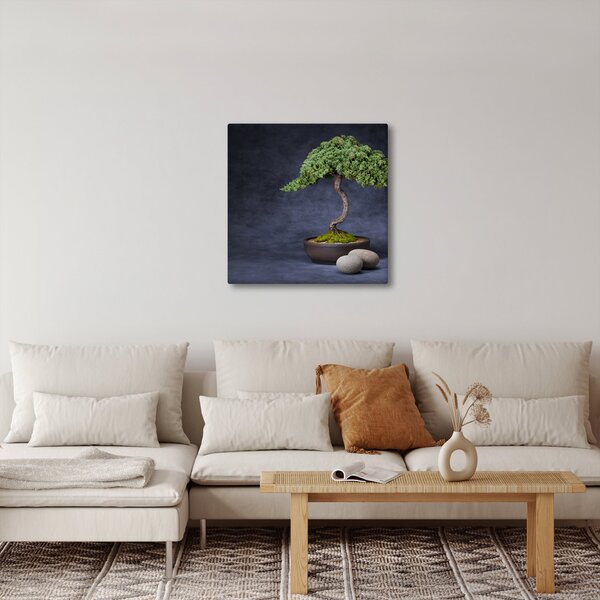 Obraz - Bonsai (30x30 cm)