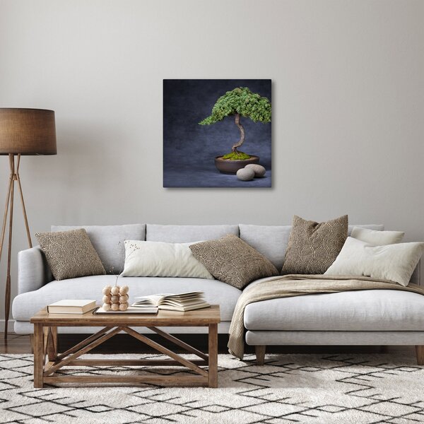 Obraz - Bonsai (30x30 cm)