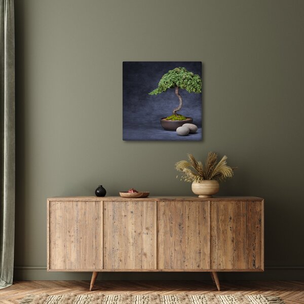 Obraz - Bonsai (30x30 cm)