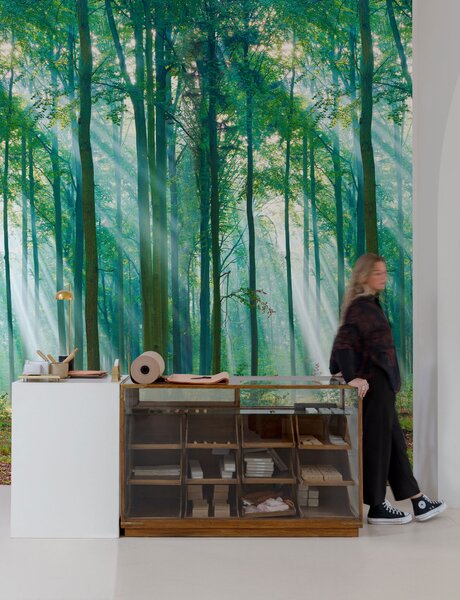 Vliesová fototapeta na zeď, Prosluněný les, ML6301, Mural Young Edition, Grandeco