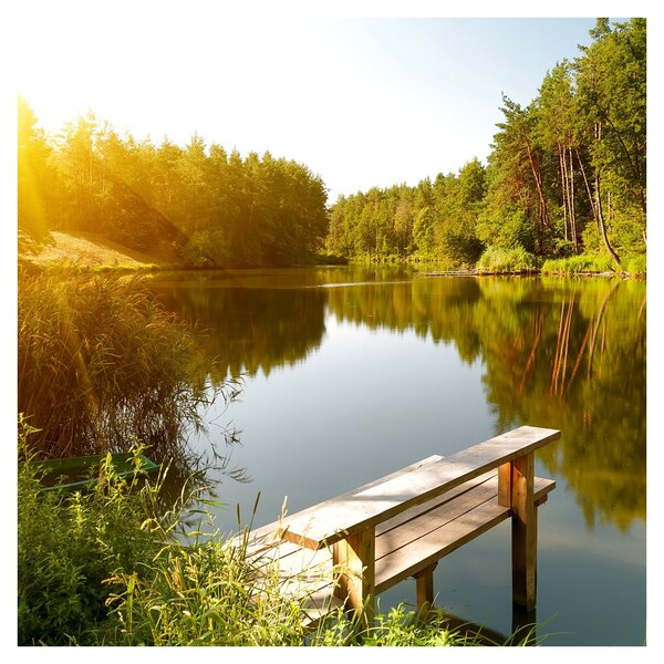 Obraz - Jezero u lesa (30x30 cm)