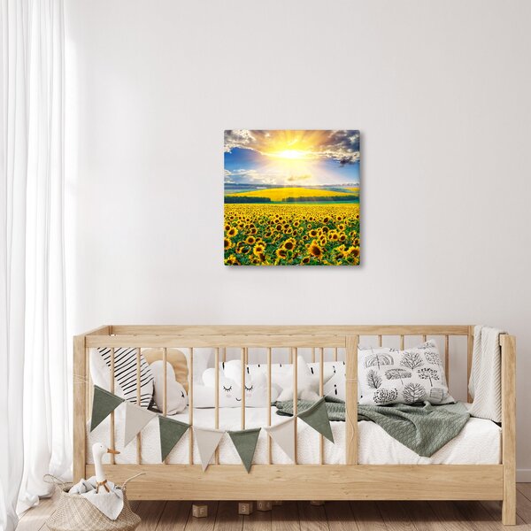 Obraz - Pole Slunečnic (30x30 cm)