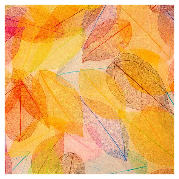 Obraz - Pozadí z podzimního listí (30x30 cm)