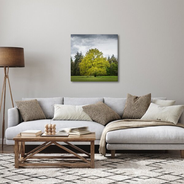 Obraz zeleného stromu uprostřed pole (30x30 cm)