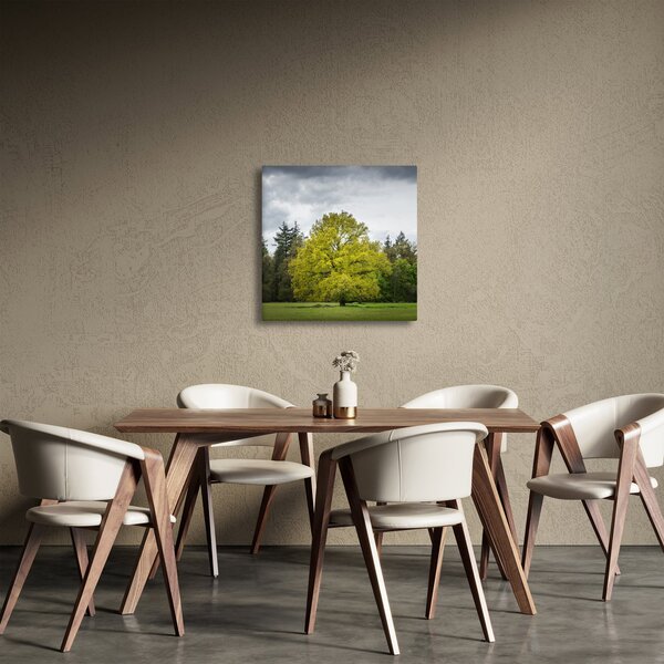 Obraz zeleného stromu uprostřed pole (30x30 cm)