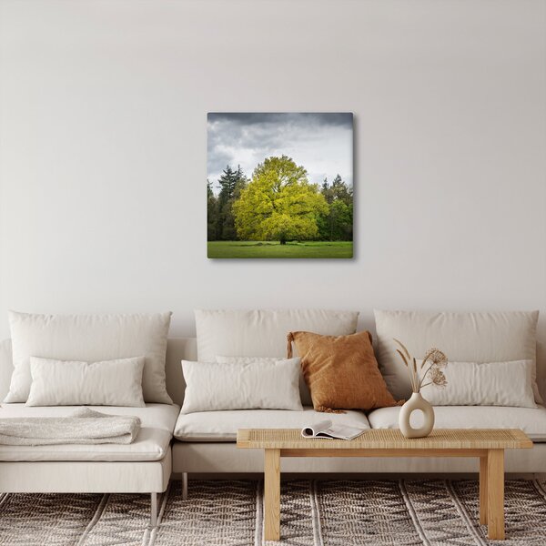 Obraz zeleného stromu uprostřed pole (30x30 cm)