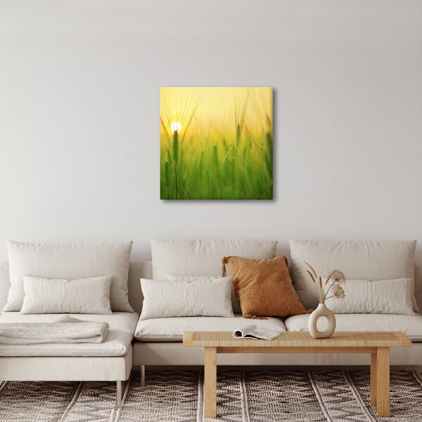 Obraz pole s obilím (30x30 cm)