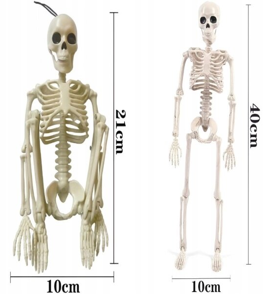 Lidská kostra skelet 40 cm halloween dekorace